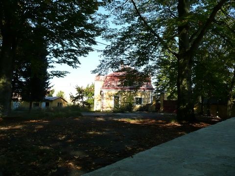 Foto 90